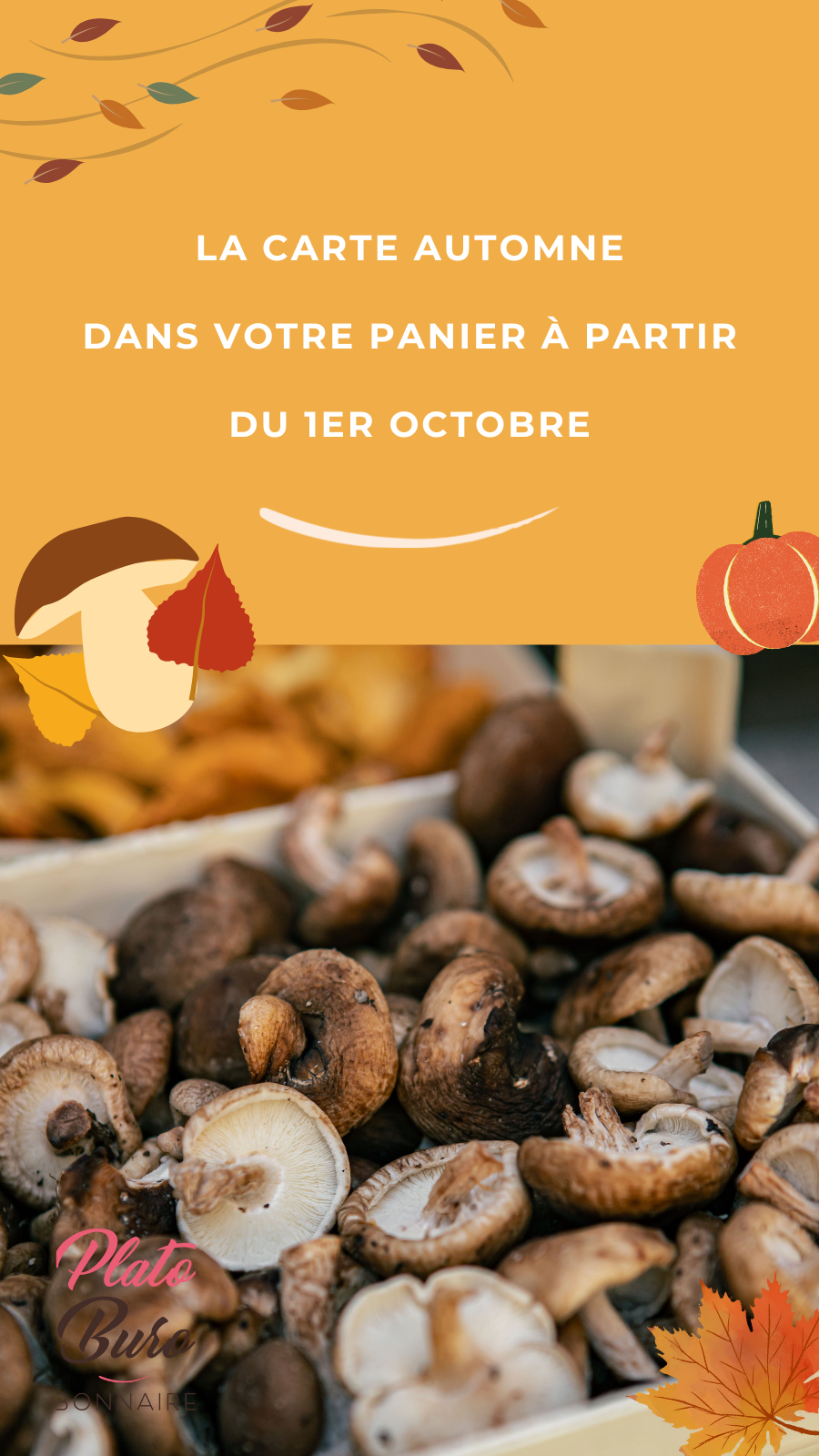 Un Menu Par Jour Avec Produits Frais, Locaux Et De Saison